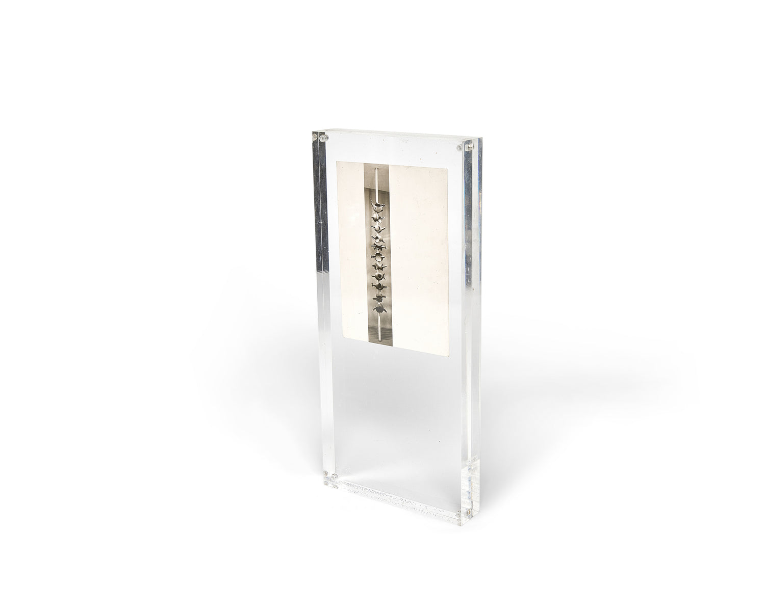 SIgned Isamu Noguchi "Even The Centipede" Postcard