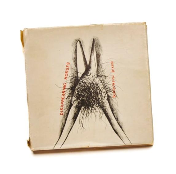 Disappearing Horses by David Rosenberg