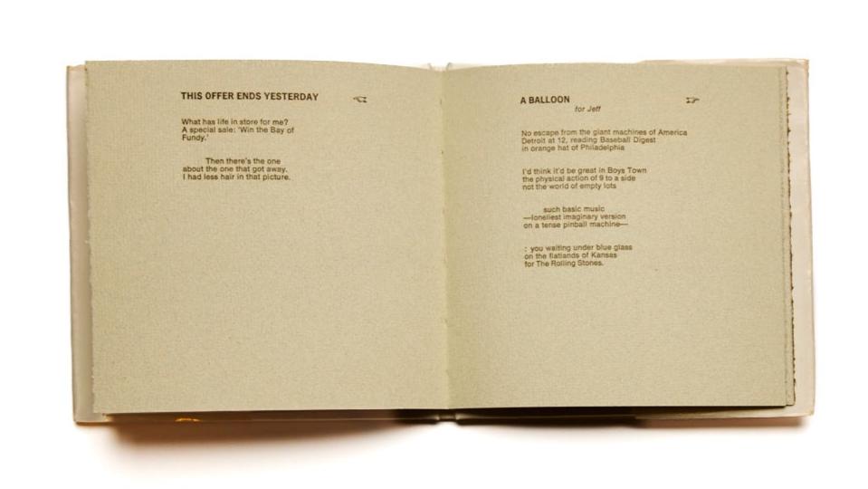 Disappearing Horses by David Rosenberg