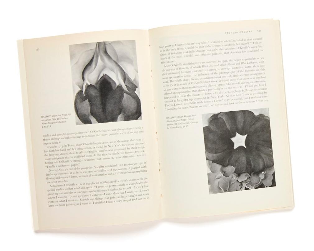 American Painting in the 20th Century