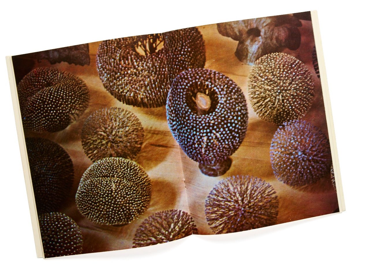 {"loading" => "lazy", "class" => "motion-reduce", "sizes" => "(min-width: 1200px) 267px, (min-width: 990px) calc((100vw - 10rem) / 4), (min-width: 750px) calc((100vw - 10rem) / 3), calc(100vw - 3rem)", "widths" => "165, 360, 535, 750, 940, 1100", "alt" => "Harry Bertoia", "is" => "lazy-image"}