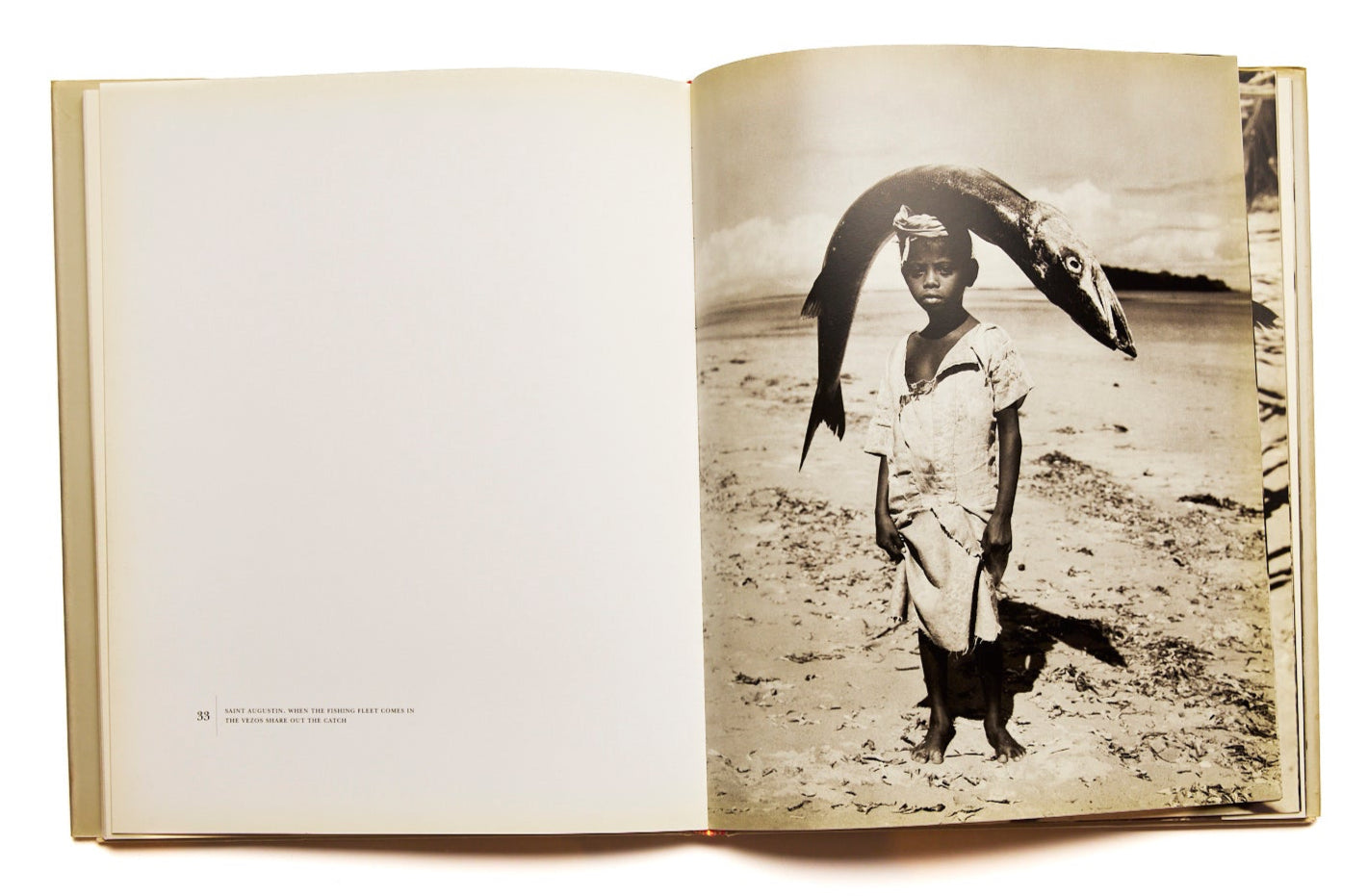 {"loading" => "lazy", "class" => "motion-reduce", "sizes" => "(min-width: 1200px) 267px, (min-width: 990px) calc((100vw - 10rem) / 4), (min-width: 750px) calc((100vw - 10rem) / 3), calc(100vw - 3rem)", "widths" => "165, 360, 535, 750, 940, 1100", "alt" => "Madagascar Gian Paolo Barbieri", "is" => "lazy-image"}