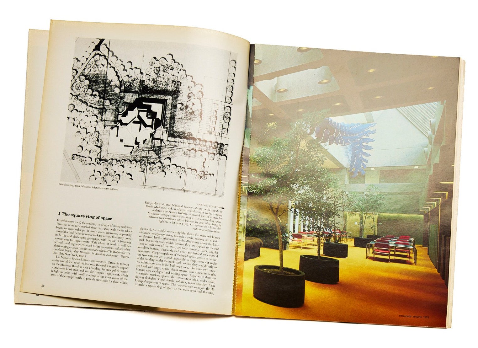 Sculpture : A Rebirth of Culturism