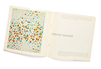 Contemporary Canadian Painters
