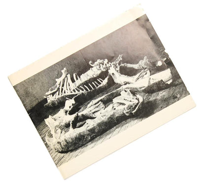 Lithos